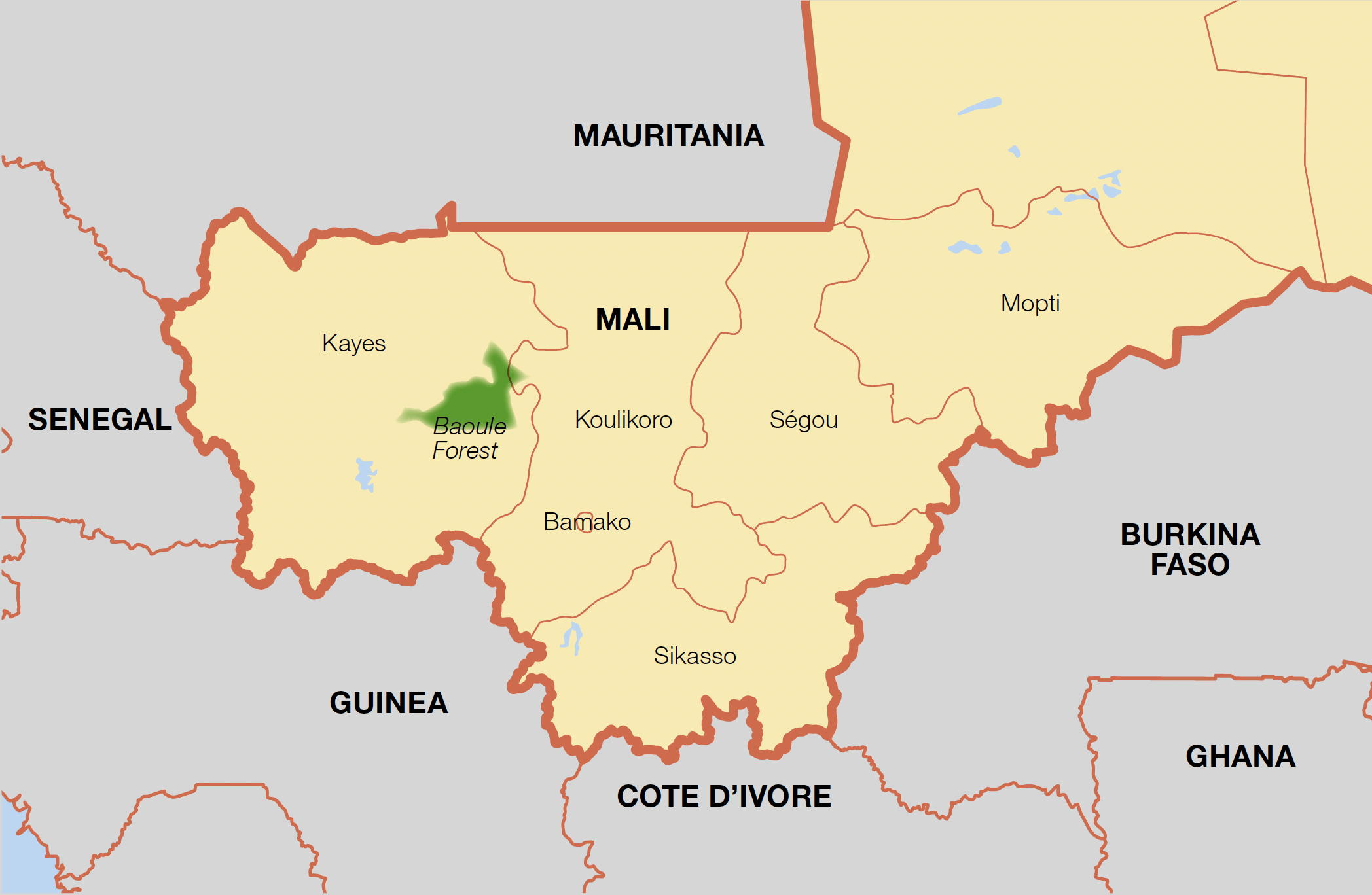 Gist Image